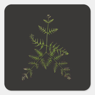 Sticker Carré vert printemps