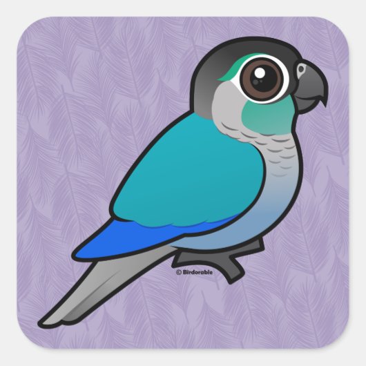 Sticker Carré Vert turquoise Conure (Devant)