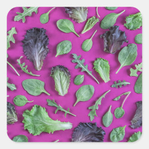 Sticker Carré Verts de laitue sur le pourpre
