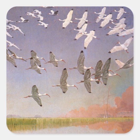 Sticker Carré Vestige d'Ibis survolant les zones humides, les oi (Devant)