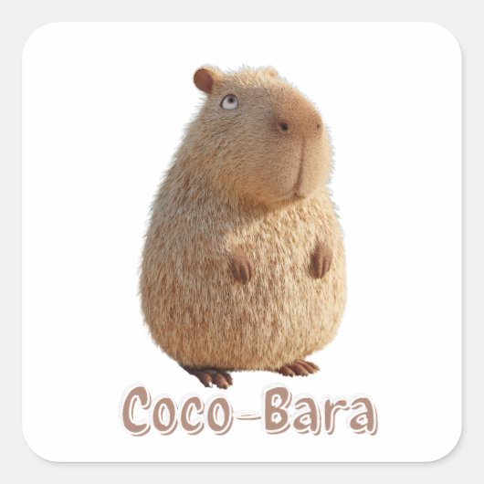 Sticker Carré Vibes Coco-Bara. Coeur Capybara : Couture de coco (Devant)