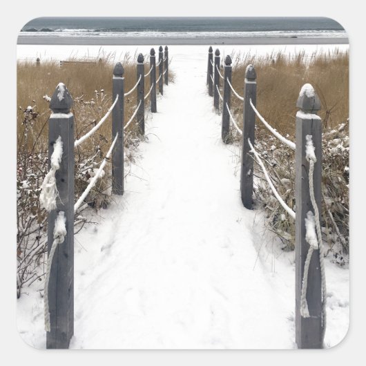 Sticker Carré vieux verger beach maine (Devant)