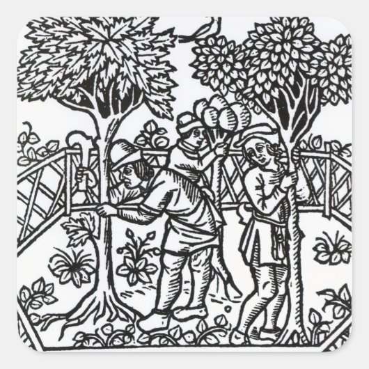 Sticker Carré Vignes (Devant)