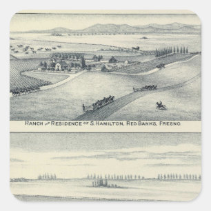 Sticker Carré Vignoble Estella Blanca, Californie