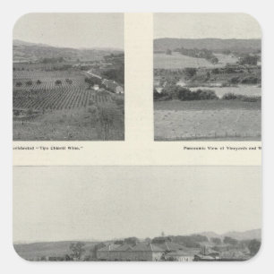 Sticker Carré Vignobles modèles, la Californie