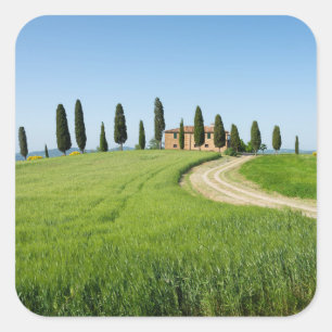 Sticker Carré Villa ferme avec cyprès en Toscane