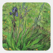 Sticker Carré Vincent van Gogh - Iris (Devant)