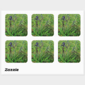 Sticker Carré Vincent van Gogh - Iris (Feuille)
