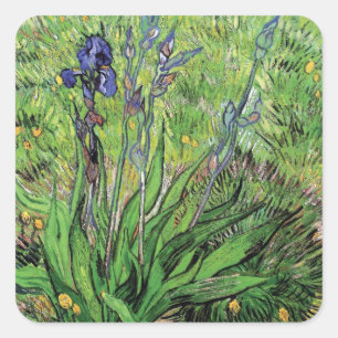 Sticker Carré Vincent Van Gogh - L'Iris Amoureux de la Nature Be