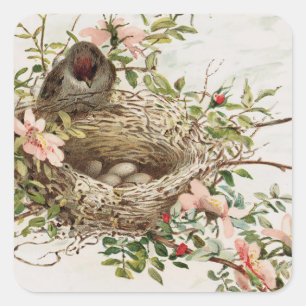 Sticker Carré Vintage Bird in Nest Poster de animal