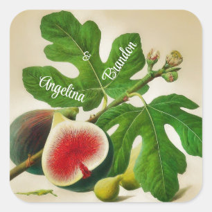 Sticker Carré Vintage figues mariage Personnalisé
