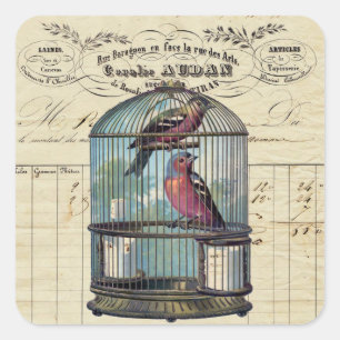 Sticker Carré Vintage Français Chic Inséparables de cage à oisea