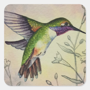 Sticker Carré Vintage Hummingbird No 2 Aquarelle Art
