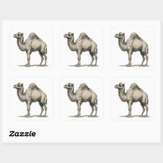 Sticker Carré Vintage Realistic Camel Illustration-Desert Camel