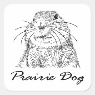 Sticker Carré visage 3 de chien de purairie