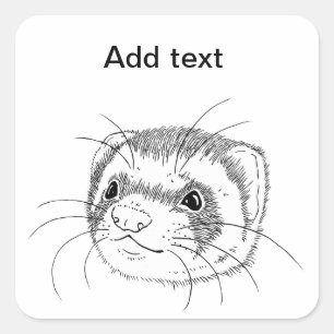 Sticker Carré Visage de furet