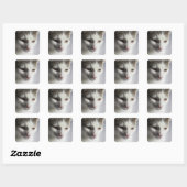 Sticker Carré Visage d'un chat (Feuille)