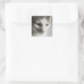 Sticker Carré Visage d'un chat (Sac)