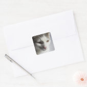 Sticker Carré Visage d'un chat (Enveloppe)