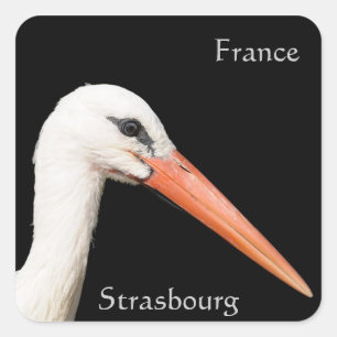 Sticker Carré Visitez Strasbourg