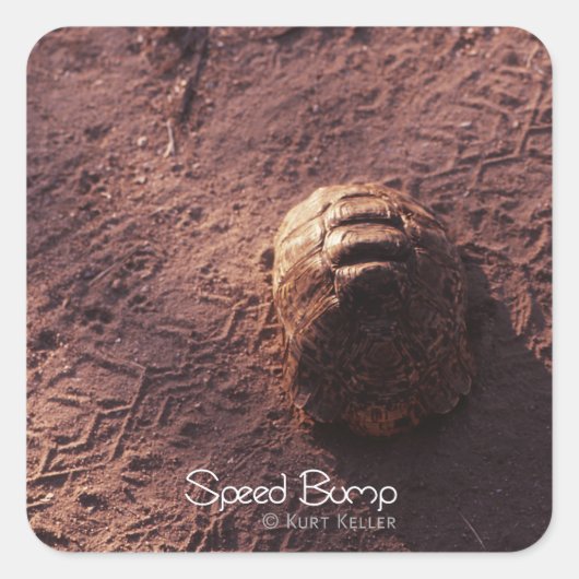 Sticker Carré Vitesse (Devant)