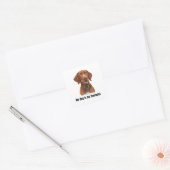 Sticker Carré Vizsla (Enveloppe)