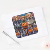 Sticker Carré Vizsla Chiens Trick ou Traiter en costume d'Hallow (Enveloppe)