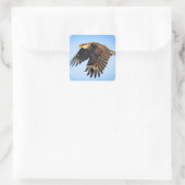 Sticker Carré "Vol Caracara"  (Sac)