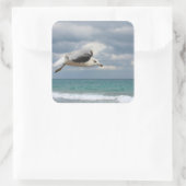 Sticker Carré Vol Seagull (Sac)