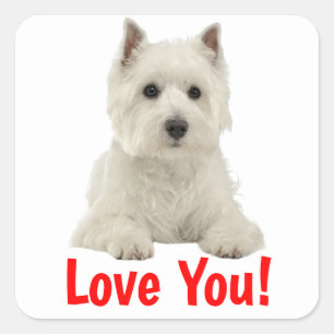 Sticker Carré Vous aimez le chiot West Highland Terrier