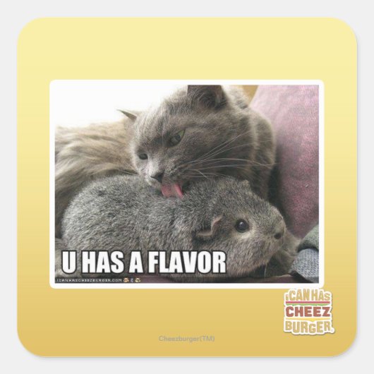 STICKER CARRÉ VOUS AVEZ UNE SAVEUR (Devant)