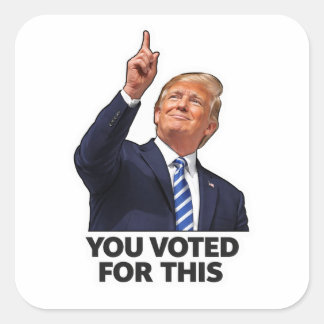 Sticker Carré Vous avez voté pour ce mème d'humour politique pri