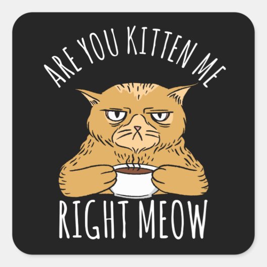 Sticker Carré Vous Me Chattez Un Jeu De Chatte. (Devant)