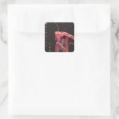Sticker Carré Vous regarder - Version rose (Sac)