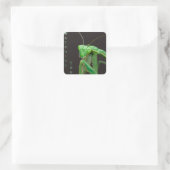 Sticker Carré Vous regarder - Version verte (Sac)
