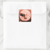 Sticker Carré Voyage sur la Lune (Rose Sepia) (Sac)