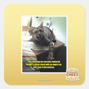 Sticker Carré Voyons si elle le remarque.