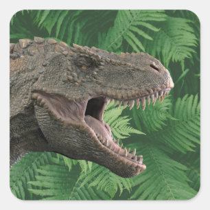 Sticker Carré Vrai dinosaure T-Rex