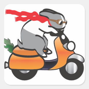 Sticker Carré vroom.