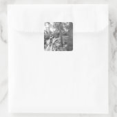 Sticker Carré VTT Aaron Rodgers sur l'escalier pour (Sac)