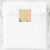 Sticker Carré Vue comparative (Sac)