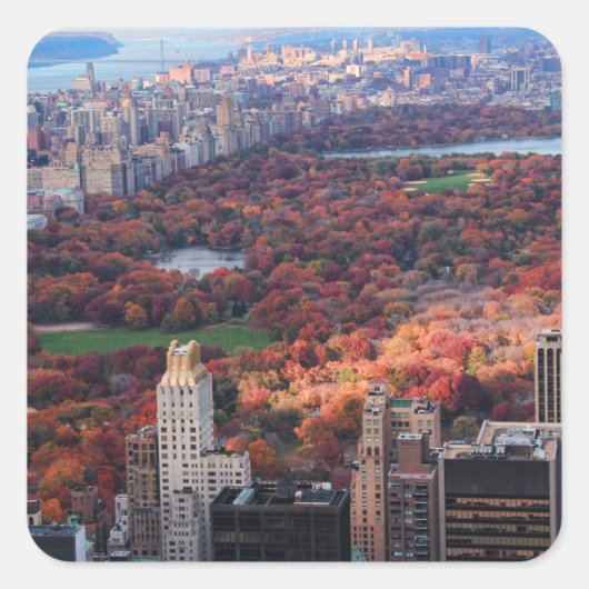 Sticker Carré Vue d'en haut : Automne à Central Park 01 (Devant)