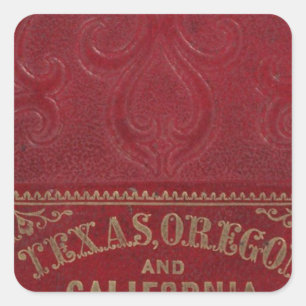 Sticker Carré Vue géographique du Texas