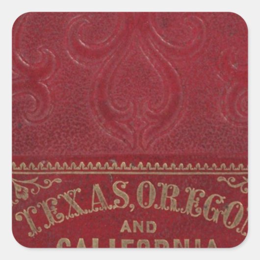 Sticker Carré Vue géographique du Texas (Devant)