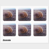 Sticker Carré Vue Macro D'Une Coquille Spirale (Feuille)