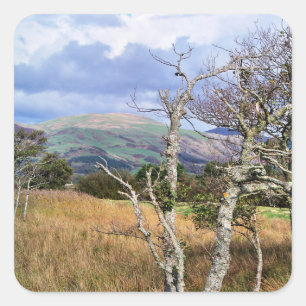 STICKER CARRÉ VUES DES ALLES