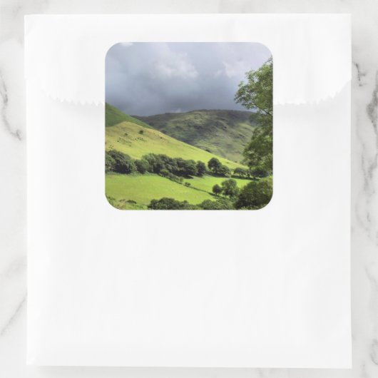 STICKER CARRÉ VUES DES ALLES (Sac)