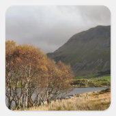 STICKER CARRÉ VUES DES ALLES (Devant)