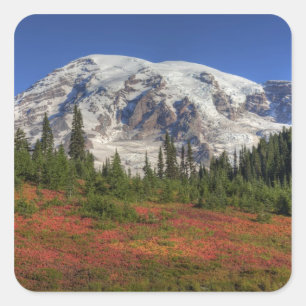 Sticker Carré WA, Parc national du mont Rainier, Paradise Valley