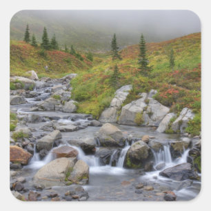 Sticker Carré WA, Parc national du Mont-Rainier, ruisseau Edith